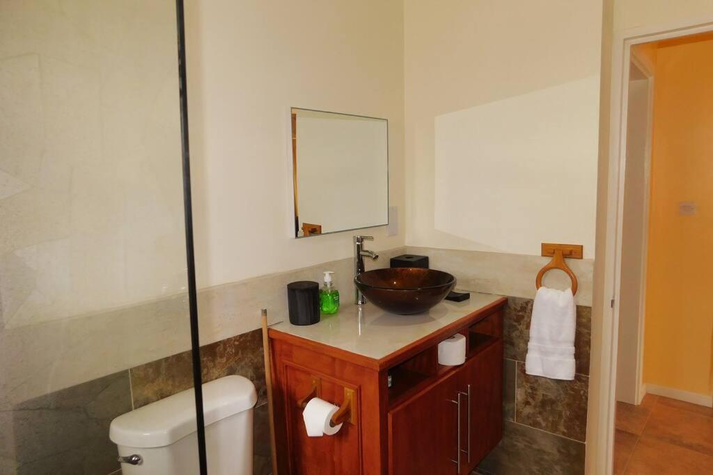 Tropical Home Oasis Soufrière Kültér fotó